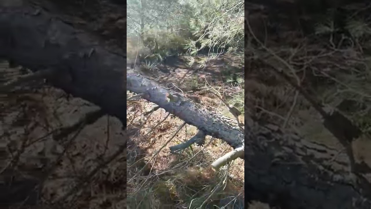 QUE ESTO PARE YA. Trampas ciclistas en la Peña del águila, Murcia.