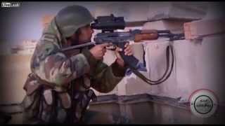 LiveLeak com Defending your Homeland