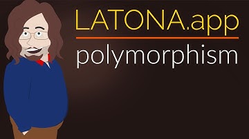 Polymorphism with Django - Latona.app