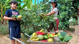 Paraíso das frutas-colheita farta no sítio