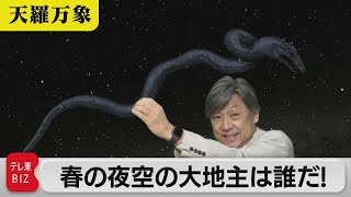 星空で行われた区画整理？　春の夜空の大地主は誰だ！【久保田解説委員の天羅万象】（124）（2023年4月21日）