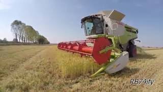 Rice Harvest 2016 - CLAAS Lexion 770 Stage IV on Poluzzi Steel Tracks