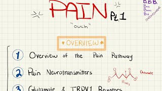 Pain 1: The Pain Pathway, Glutamate/GABA, Long-Term Potentiation, TRPV1 and NMDA Receptors