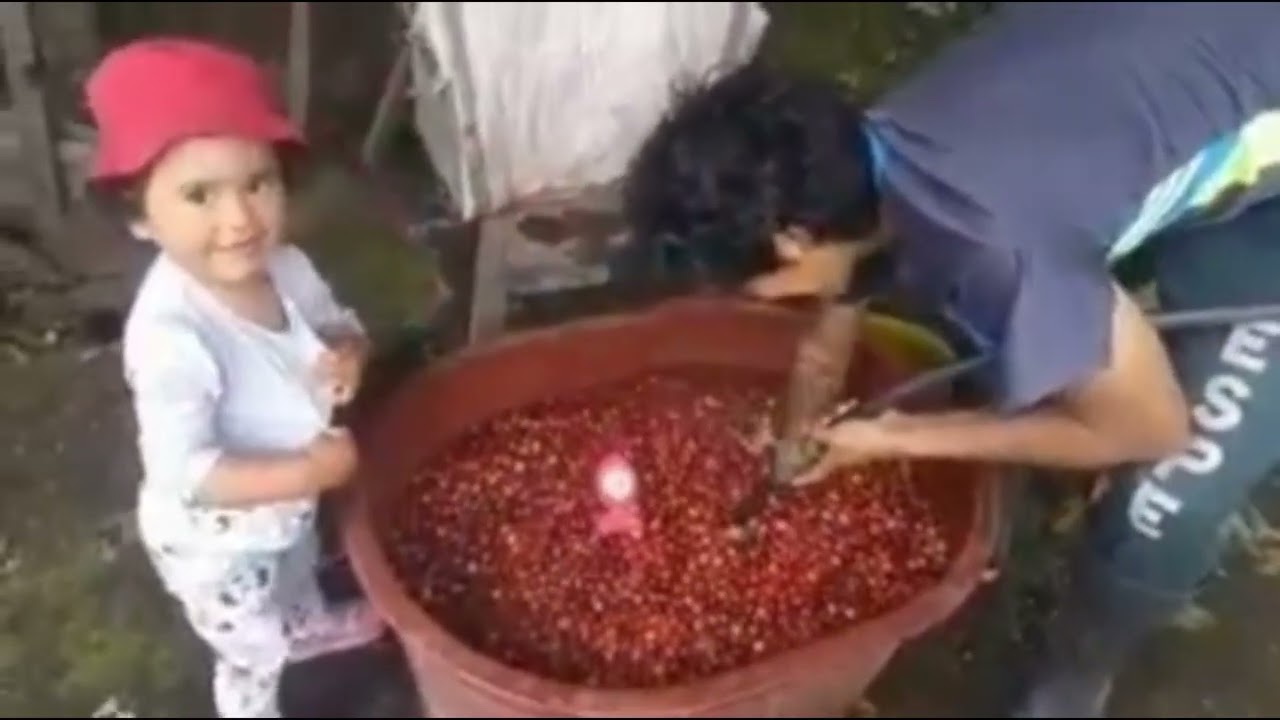 Ukumari Coffee | Desde el origen, para el mundo ☕🌎