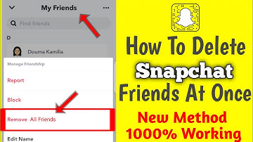 How To Remove all Friends on Snapchat (2023) | How To Remove Friends on Snapchat at Once