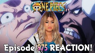 One Piece Episode 975 Sub Indo Terbaru Hd One Piece 975 Sub Indonesia Full Episode的youtube视频效果分析报告 Noxinfluencer