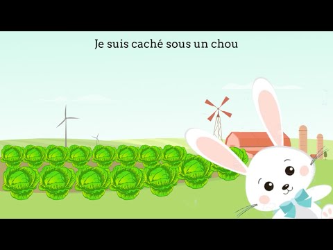 Mon petit lapin