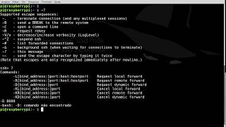SSH Escape Sequences