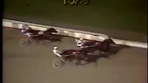 1985 Yonkers Raceway MASTER WILLIE Yonkers Trot Ja...