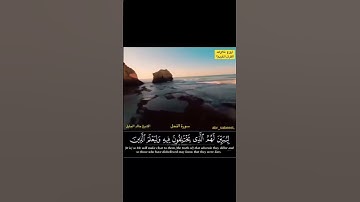 تلاوة هادئة من سورة النحل❤️