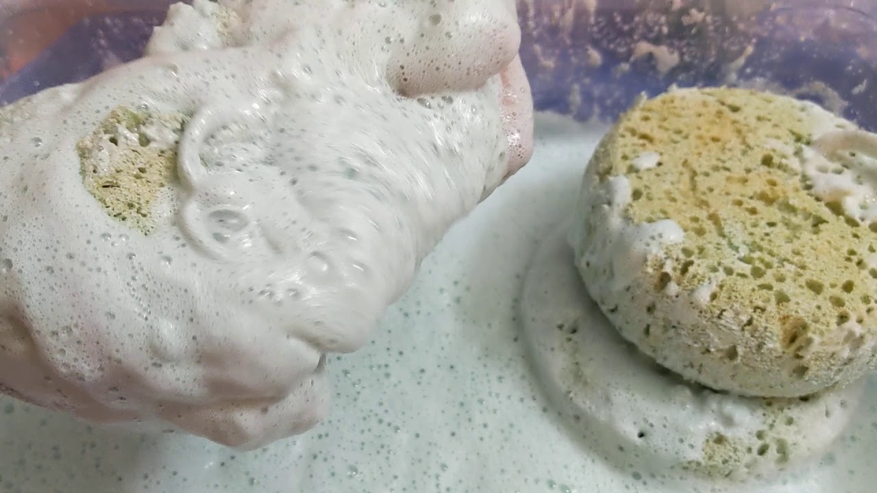 Pinalen💙Ocean Breeze 🌬️ + Comet 💫