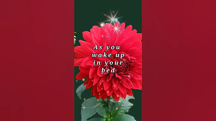 Grateful Heart - Lindsay Muller #goodmorning #musicvideo #lyricsvideo #short