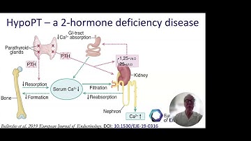 HPF 2025: GER - Session 2: Revised ESE Guidelines on Hypoparathyroidism & Open Q&A