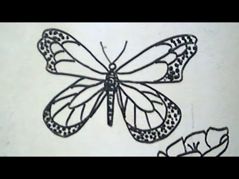  Cara Menggambar Kupu Kupu How to Draw A Butterfly YouTube