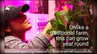 Shipping Container Farm In Brooklyn