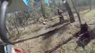 Riding some trails around Murragoldrie State Forest by Brad Newman 163 views 10 years ago 4 minutes, 18 seconds