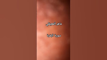 #ماهر_المعيقلي #سورة_البقرة #القرآن_الكريم #اكسبلور #مصر #الجزائر #love #العراق #السعودية #المغرب @#