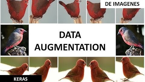 Data Augmentation para clasificación de imágenes usando keras - tensorflow ( Parte 1 )