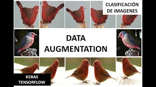 Data Augmentation para clasificación de imágenes usando keras - tensorflow ( Parte 1 )