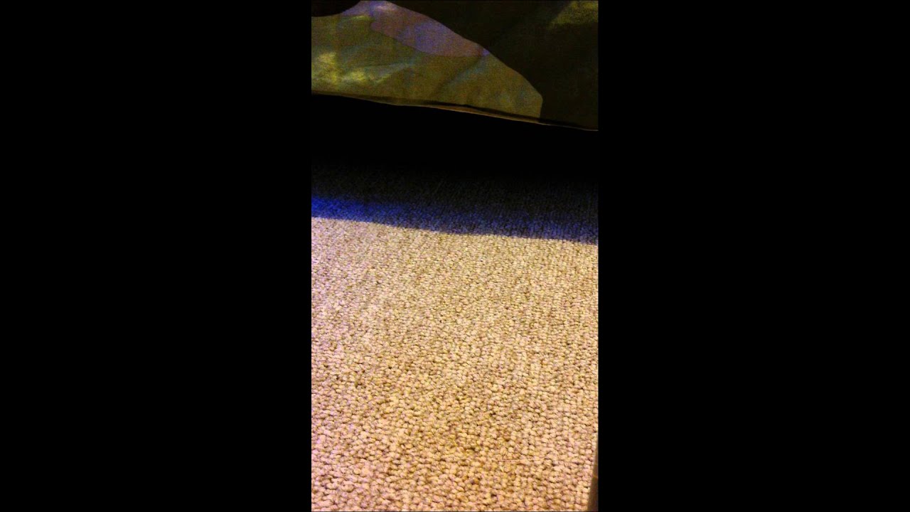 Axe secret stash can