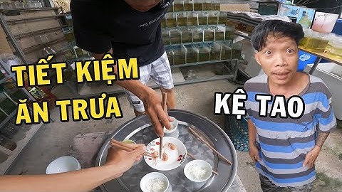 Ông Chủ Trại Cá Betta Đãi Thợ Ăn Cơm Trưa Quá Tiết Kiệm Và Cái Kết