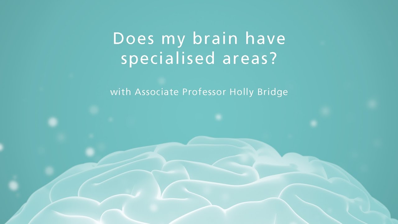 video phone beyonce mp3 Does my brain have specialised areas?