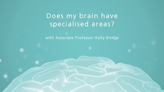 Does my brain have specialised areas?