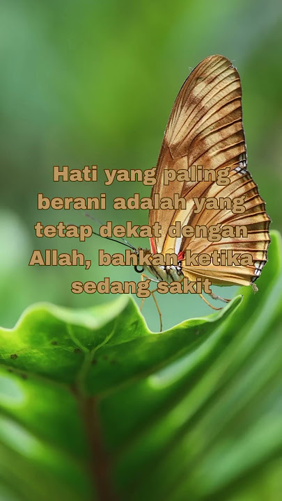 Quotes islami penyejuk hati#motivasiislami#inspirasiislami#pengingatdirisendiri