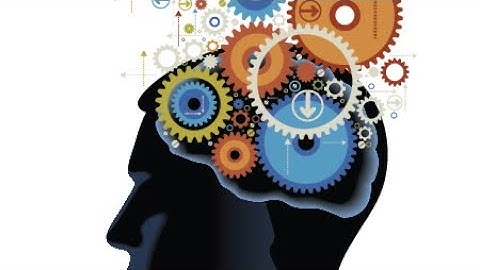 4 General Cognitive Domains - Speech Pathology - Speech Therapy Overview