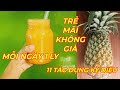 QUẢ DỨA( THƠM,  KHÓM) - Bạn sẽ bất ngờ khi biết công dụng tuyệt vời của loại trái cây bán đầy đường.