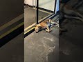 踏みそうになったのぅ・・