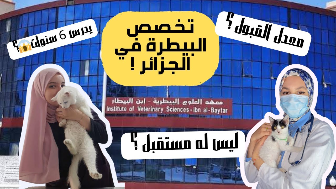 معهد العلوم البيطرية بولاية البليدة | médecine vétérinaire avec Dr Manel