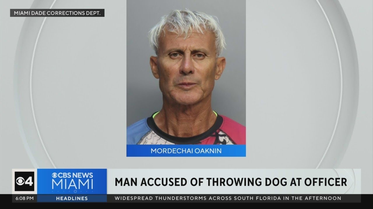Man faces charges after throwing dog at police officer - YouTube