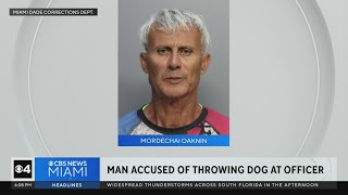 Man faces charges after throwing dog at police officer