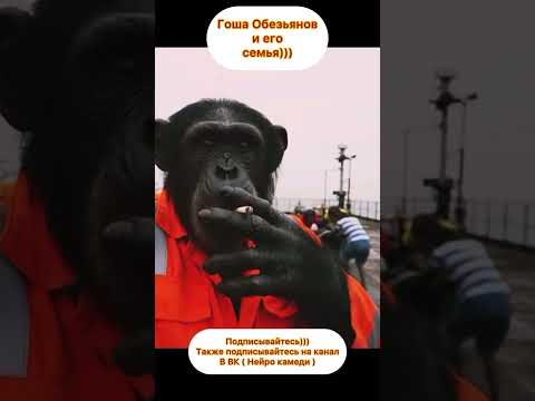 Гоша Обезьянов