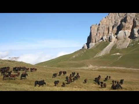 Видео: Производство за коване и пресоване: развитие в Русия, характеристики, оборудване