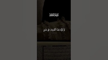 تلاوه جميله للشيخ ماهر المعيقلي #المصحف #اكسبلور #الرحمن #راحة_نفسية