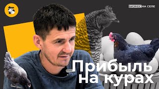 Куры на миллионы. Как фермер завез в Татарстан курицу, которая несет золотые яйца. | Альфа-банк