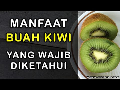 Video: Buah Kiwi: 12 Khasiat Ampuh, Diantaranya Asma, Pencernaan, Dan Banyak Lagi
