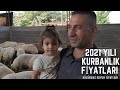 2021 KÜÇÜKBAŞ KURBANLIK FİYATLARI 1.BÖLÜM #KÖYEGÖÇ #KÜÇÜKBAŞ #KURBANLIK #KOYUN #KEÇİ #KÖYDEYAŞAM