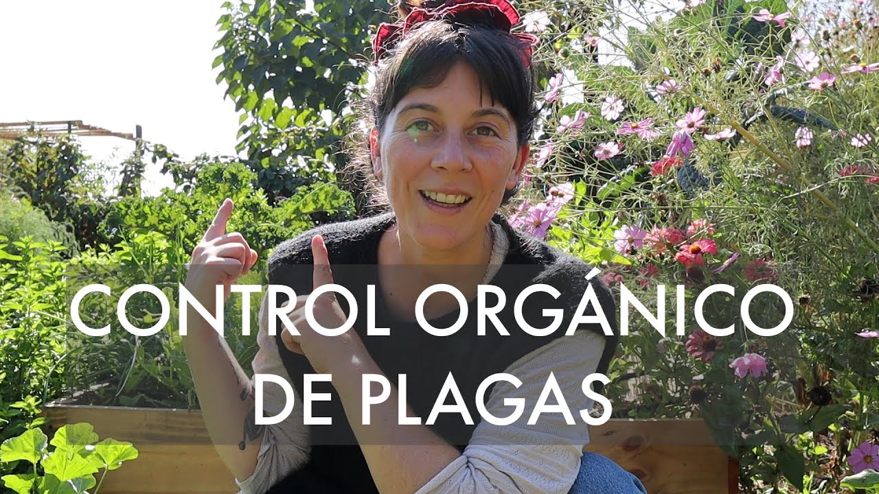 Control Orgánico de Plagas | #orugas #pulgones #saltamontes #chanchitosdetierra #mosquitablanca