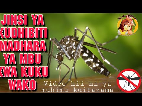 Video: Jinsi Ya Kufuga Mnyama Wako