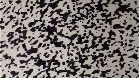 Hidden Images - in Ambiguous Patterns.wmv