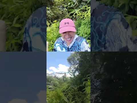 Gubat #viralvideo #youtubeshorts #nature #youtubevideos #ytshorts #fyp