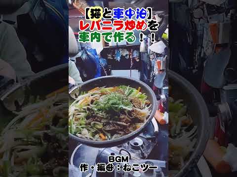 【猫と車中泊】レバニラ炒め #旅 #猫 #車中泊 #料理 #旅行vlog