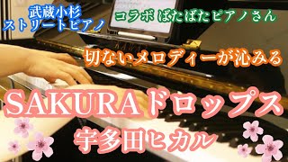 【ストリートピアノ】SAKURAドロップス/宇多田ヒカル withばたばたピアノさん 切ないメロディーが沁みるin武蔵小杉 SENA  official  channel