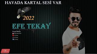 Efe Tekay Havada Kartal Sesi Var 2022 ✔️ Resimi