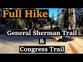 Virtual Hike | General Sherman & Congress Trail (Full Hike)  | Sequoia National Park | 1080p HD