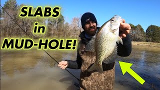 Catching SLABS out of Super Shallow MUD HOLE!  Catch And Cook Crappie in Air Fryer!!!
