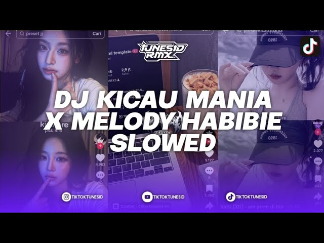 DJ KICAU MANIA X MELODY HABIBIE VERSI SLOWED REMIX BY BANGSAY OFFICIAL